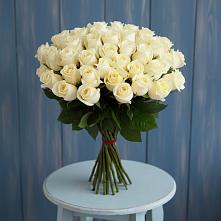 Букет 51 Белая роза Эдлесс Лав #REPLACE_PRED# Арбаж