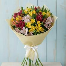 Букет цветов из:  Альстромерии в Арбаж