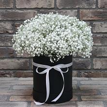 Цветочная композиция из Гипсофила в шляпной коробке в Арбаж